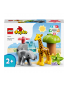 LEGO DUPLO 2+ Dzikie zwierz.Afryki 10971 - nr 9