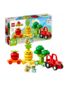 LEGO DUPLO 1,5+ Traktor z warzywami i owoc..10982 - nr 9