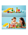 LEGO DUPLO 1,5+ Ogród uprawowy V29 10984 - nr 5