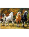 norimpex Malowanie po numer.Konie w galopie 1008512 - nr 1