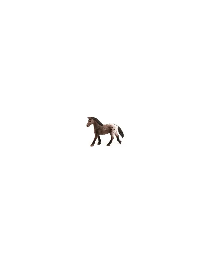 schleich SLH klacz rasy Appaloosa 13861 27888 główny