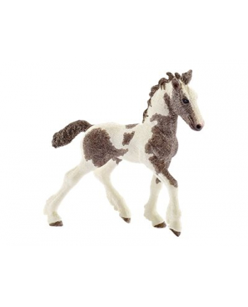 schleich SLH Tinker źrebię Farmworld 13774 27864