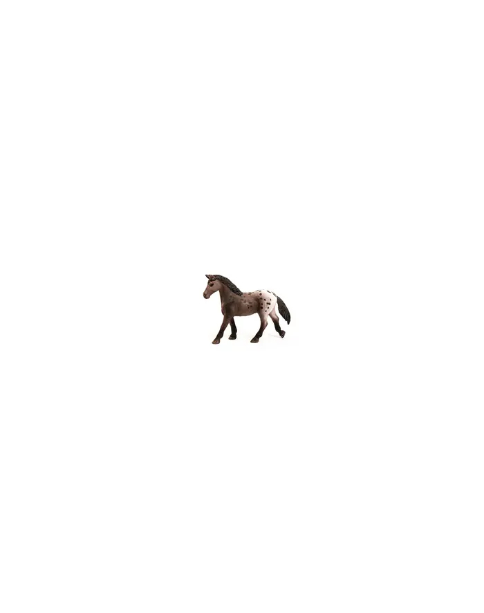 schleich SLH klacz rasy Appaloosa 13861 27888 główny