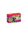 schleich SLH sówki w gnieździe 42525 01433 - nr 7