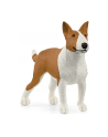 schleich SLH Bulterier 13966 90847 - nr 4