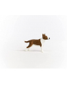 schleich SLH Bulterier 13966 90847 - nr 8