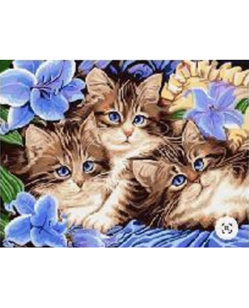 norimpex Malowanie po numerach Trzy kotki 10008235
