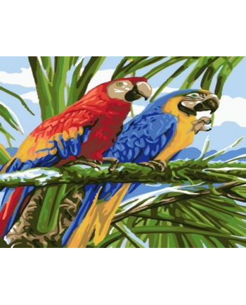 norimpex Malowanie po numerach Dwie papugi 1008934
