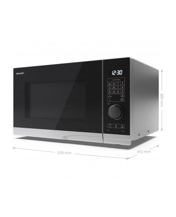 Sharp YC-PG254AE-S