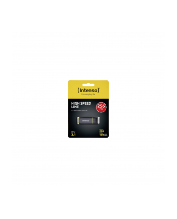 Intenso 256GB (3537492)