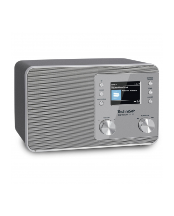 Technisat Radio DigitRadio 307 BT Srebrny