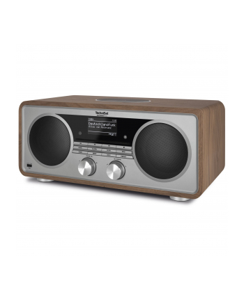 Technisat Radio Digitradio 602 Nut/Silber (23987)