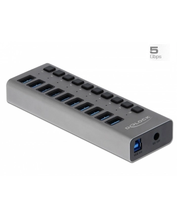 Delock Externer SuperSpeed mit 10 Ports + Schalter (63670)