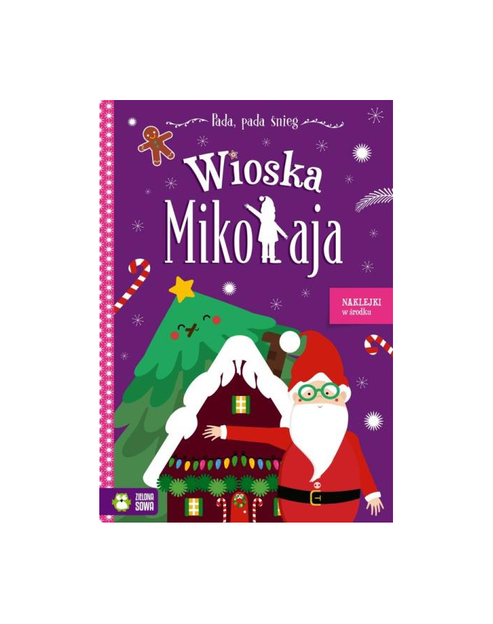 Książka Pada, pada śnieg. Wioska Mikołaja Zielona Sowa główny