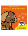 Książka Nowe zabawy malucha. Zwierzęta i ich przysmaki Zielona Sowa - nr 1