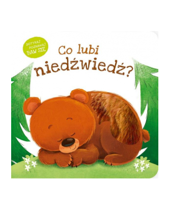 Książka Co lubi niedźwiedź?  Zielona Sowa