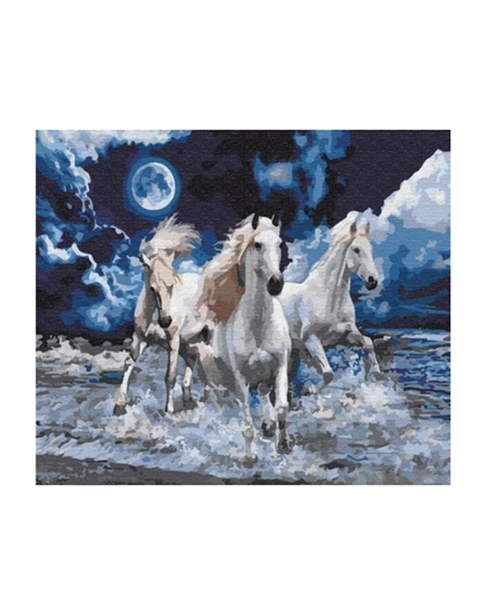 norimpex Malowanie po numerach 40x50cm 3 białe konie w galopie, morze nocą 1007663 główny