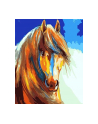 norimpex Malowanie po numerach 40x50cm Koń z grzywą 1007693 - nr 1