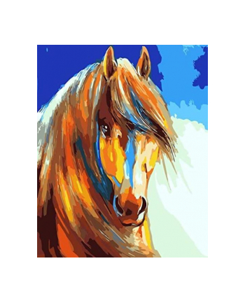 norimpex Malowanie po numerach 40x50cm Koń z grzywą 1007693