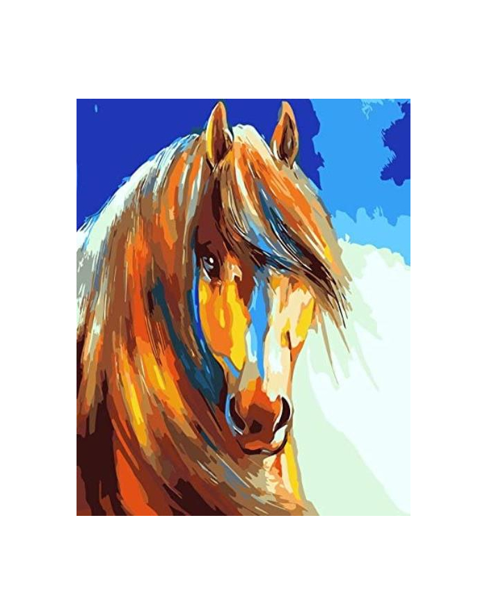 norimpex Malowanie po numerach 40x50cm Koń z grzywą 1007693 główny
