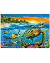 norimpex Malowanie po numerach 40x50cm Żółwie w oceanie 1008511 - nr 1