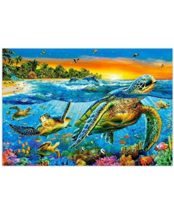norimpex Malowanie po numerach 40x50cm Żółwie w oceanie 1008511