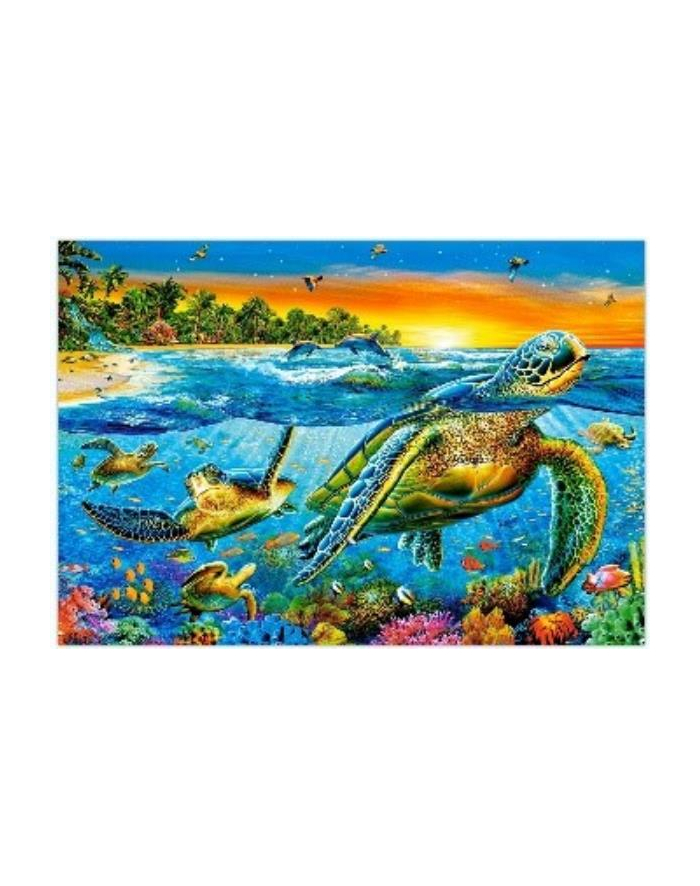 norimpex Malowanie po numerach 40x50cm Żółwie w oceanie 1008511 główny