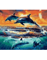 norimpex Malowanie po numerach 40x50cm delfiny skaczace i nurkujące 1008901 - nr 1
