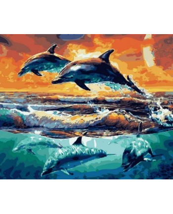 norimpex Malowanie po numerach 40x50cm delfiny skaczace i nurkujące 1008901