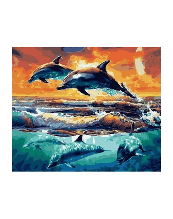 norimpex Malowanie po numerach 40x50cm delfiny skaczace i nurkujące 1008901 główny