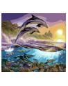 norimpex Malowanie po numerach 40x50cm Delfiny skaczące przy wydmach 1008902 - nr 1