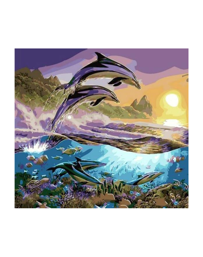 norimpex Malowanie po numerach 40x50cm Delfiny skaczące przy wydmach 1008902 główny