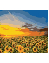norimpex Malowanie po numerach 40x50cm Kwiaty, słoneczniki na polu 1008913 - nr 1