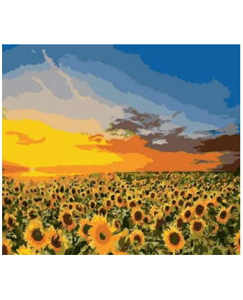 norimpex Malowanie po numerach 40x50cm Kwiaty, słoneczniki na polu 1008913