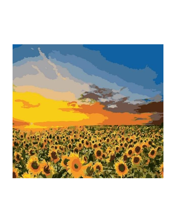 norimpex Malowanie po numerach 40x50cm Kwiaty, słoneczniki na polu 1008913 główny