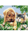 norimpex Malowanie po numerach 40x50cm Pies i kot, sen na łące 1008935 - nr 1
