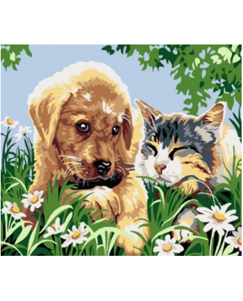 norimpex Malowanie po numerach 40x50cm Pies i kot, sen na łące 1008935