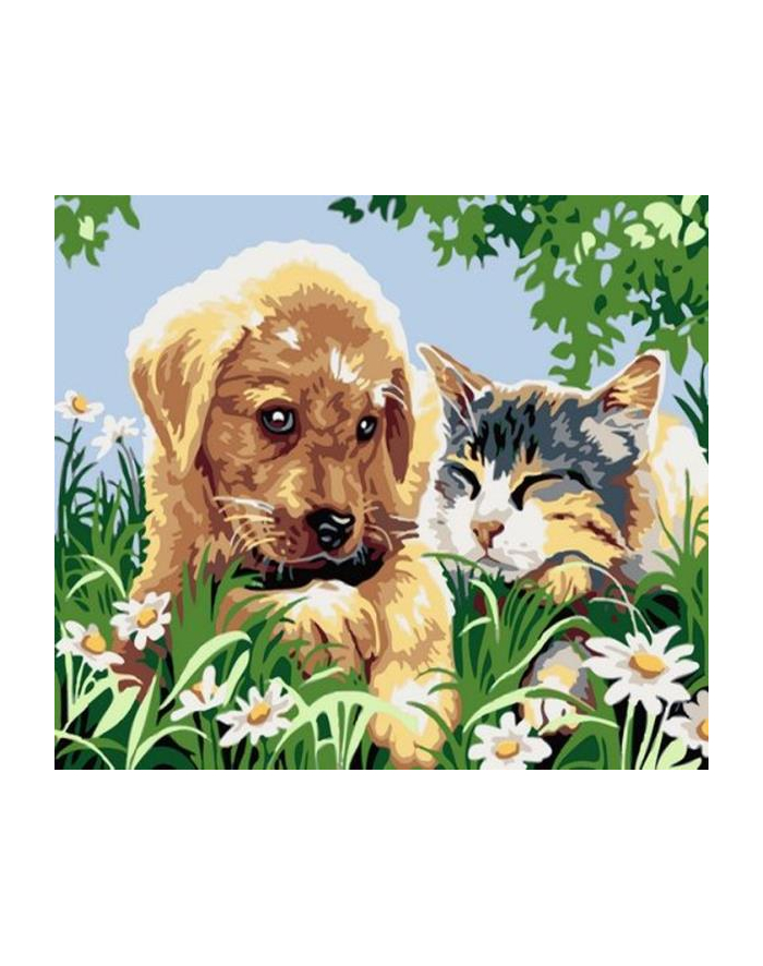 norimpex Malowanie po numerach 40x50cm Pies i kot, sen na łące 1008935 główny