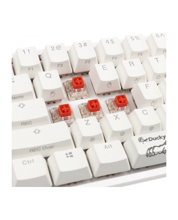 Ducky One 2 Pro Mini Kailh Red RGB (DKON2061STKUSPDWWTR2) nr 1
