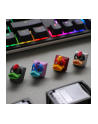 Ducky League The Bulk (DKLTBMX) - nr 8