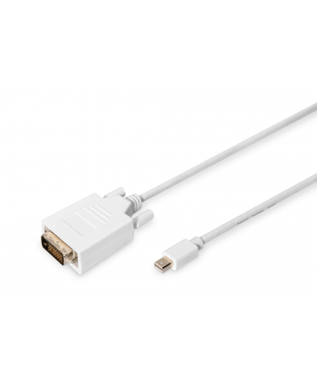 Kabel DisplayPort DIGITUS DP mini/M - DVI-D (24+1) /M, 1m nr 1