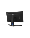LENOVO R25i-30 24.5inch IPS WLED FHD 400cd/m2 0.5ms 2xHDMI 2.0 DP 1.4 - nr 14