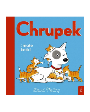 foksal Książeczka Chrupek i małe kotki