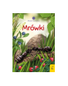 foksal Książeczka Młodzi przyrodnicy. Mrówki - nr 1