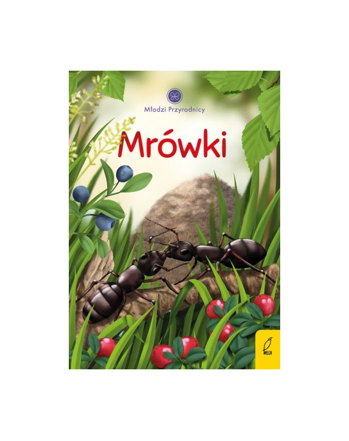foksal Książeczka Młodzi przyrodnicy. Mrówki główny