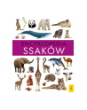 foksal Książeczka Encyklopedia ssaków - nr 1