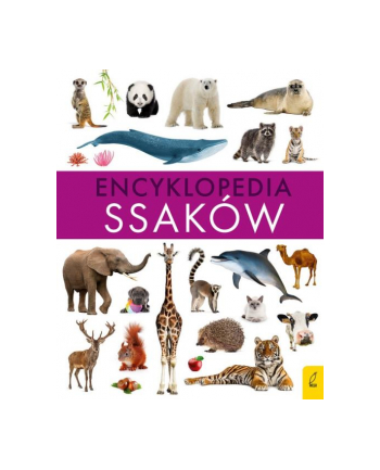 foksal Książeczka Encyklopedia ssaków