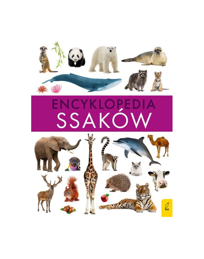 foksal Książeczka Encyklopedia ssaków główny
