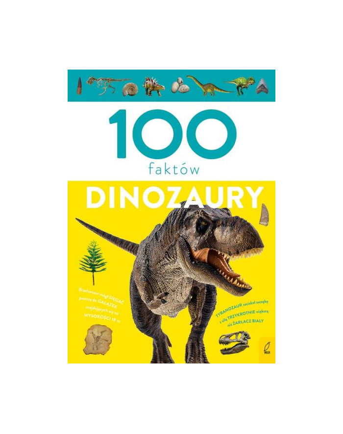 foksal Książeczka 100 faktów. Dinozaury główny