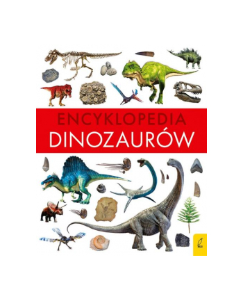 foksal Książeczka Encyklopedia dinozaurów